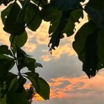 Nia Dinata Instagram - Old Couple Therapy! Pull Ups sebisanya di kolam menghindari keseleo, ngecek kiriman barang dari Jakarta ke Jogja udah sampe mana,seharian inspeksi progress pembangunan, termasuk lantai-lantai yang motifnya ku karang sendiri, sampai sempet pusing sendiri. Tapi seru, pokoknya semakin tua kita harus selalu sibuk dengan tantangan baru. Team work all the way! #oldcouple #buildtogether #jogjaistimewa