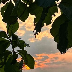Nia Dinata Instagram - Old Couple Therapy! Pull Ups sebisanya di kolam menghindari keseleo, ngecek kiriman barang dari Jakarta ke Jogja udah sampe mana,seharian inspeksi progress pembangunan, termasuk lantai-lantai yang motifnya ku karang sendiri, sampai sempet pusing sendiri. Tapi seru, pokoknya semakin tua kita harus selalu sibuk dengan tantangan baru. Team work all the way! #oldcouple #buildtogether #jogjaistimewa
