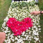 Nia Dinata Instagram - This is a reminder to honor your ancestors❤️😇🙏🏼 Mengunjungi makam RA Soekirah, nenek buyut kami, sumber kekuatan dan inspirasi. CINTA kami❤️ #foreverlove #niamaste terimakasih geng saudara saudara ku the Otista yang pagi-pagi sudah menemani ku..❤️❤️❤️