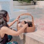 Nia Dinata Instagram – Simple Joy is..
Spending mornings with these puppies. Mereka cucunya Surti, anjing liar di kebun kami, yang kali ini melahirkan dengan selamat, di dalam kandang dan ada lima anaknya. Dua betina, Tiga jantan, kami kasih nama Siji, Loro, Telu, Papat , Limo. Siji sudah ada yang mau adopsi 🙏🏼 semoga nanti semua akan dapat kasih sayang berlanjut #simplejoy #puppiesforall 💚
#niamaste