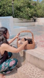 Nia Dinata Instagram - Simple Joy is.. Spending mornings with these puppies. Mereka cucunya Surti, anjing liar di kebun kami, yang kali ini melahirkan dengan selamat, di dalam kandang dan ada lima anaknya. Dua betina, Tiga jantan, kami kasih nama Siji, Loro, Telu, Papat , Limo. Siji sudah ada yang mau adopsi 🙏🏼 semoga nanti semua akan dapat kasih sayang berlanjut #simplejoy #puppiesforall 💚 #niamaste