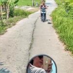 Nia Dinata Instagram - First few days of 2024: wonderful grounding days. Mostly we walk barefoot, bare hands into the grass or dirt. 1,2,3 - aku beberes indoor, papap @kiki_cp outdoor. 4,5 - boncengan motor keliling dusun ngecengin sawah. 5,7,8 - belanja buku di @bukuakik & suka sekali tempatnya, banyak pengunjungnya, ada yang baca di perpustakaan, ada yang beli buku, pokoknya bahagia lihat orang baca di toko bulu independen ini. 9,10 - impromptu din din awal tahun dikunjungi @dinarich @rharjani ke rumah Jogja 💃🏻🕺🏻#grounding #littlethingsmatter #hello2024 #niamaste Bangunjiwo