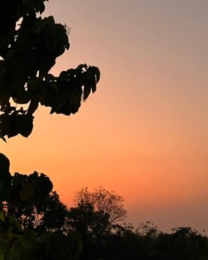 Nia Dinata Instagram - Feeling close to the sky and appreciate its beauty; quieting my busy mind is a necessity🙏🏼 Berbagai gradasi warna langit, sebelum dan sesudah terbenamnya matahari. Kali ini menikmati langit dan obrolan nya bersama Ugyen✨ #skygazing #skyphotography #appreciation #noeditneeded #niamaste