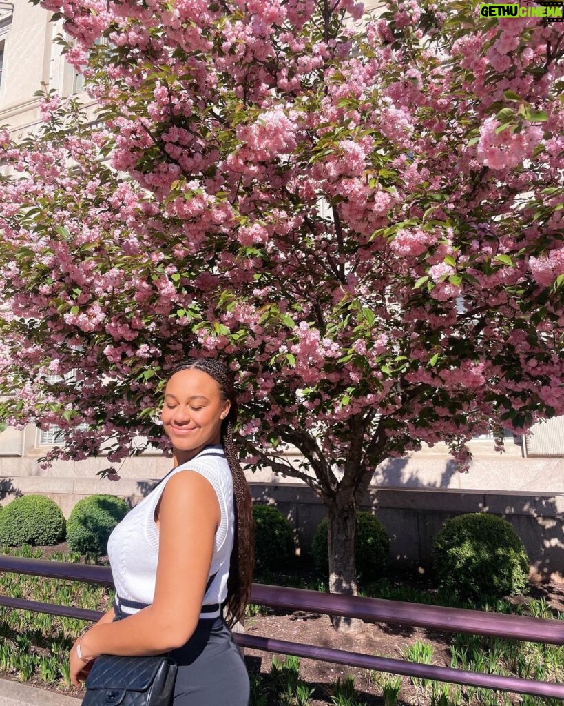 Nia Sioux Instagram - Easter at the White House🐣🌸 The White House, Washington DC