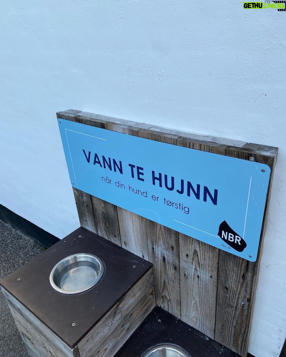 Nicholas Kawamura Instagram - Vi traf en rask beslutning og tog til Bornholm her i weekenden❤️ 1. Najell livet 2. Pizza date 3. Georg look i blæsevejr 4. @trinekjaer_ har et moment☕️☀️ 5. Blæsevejrsbegejstring 6. Stedet 7. Robiiiin😍 8. Bornholmsk eller hollandsk??? Allinge, Bornholm, Denmark