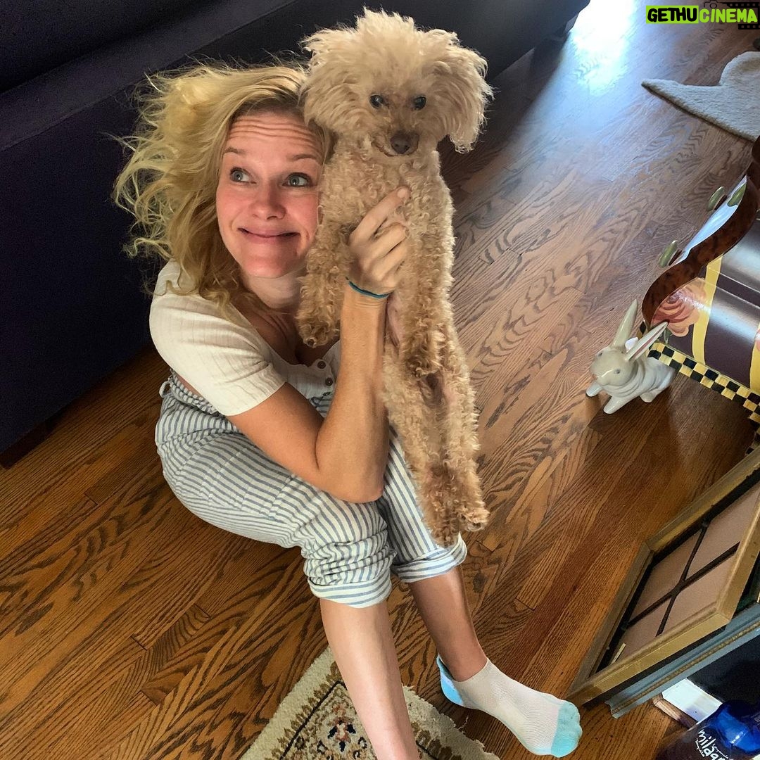 Nicholle Tom - 2.2K Likes - We woke up like this... Don’t we look alike? He’s half human-quarter muppet-quarter poodle. #MyBoy #MyJoy @chestychew #NicholleTomSocks #PoodleLover
