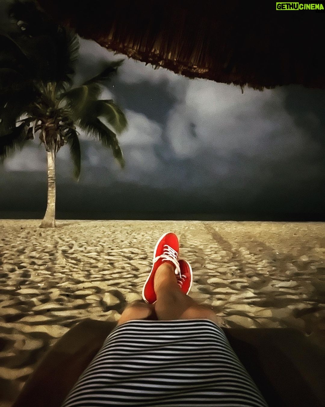 Nicholle Tom Instagram - Find you’re #HappyPlace and watch tonight’s #RockinRedShoes kick some arghssss …🥴😵💫 #Worstcooks #ImRightWhereIBelong @foodnetwork @discoveryplus #BestShrimpTacos @tipsytunabelize #CouldntResist the monkey & the bear! #Yummers Tipsy Tuna Placencia