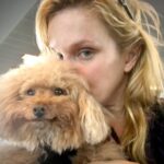 Nicholle Tom Instagram - I’m my mommy’s new mask! She says I’m just as good as any #N95 except for my fur going up her nose when she breathes… #NOTCDCapproved #day54 #365daysofchesty @chestychew