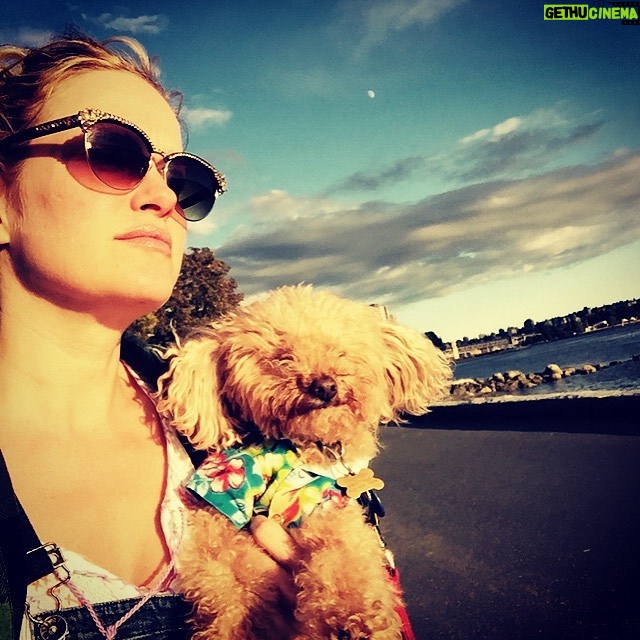Nicholle Tom - 713 Likes - Looking forward to the week ahead! ☺️ #day38 #365daysofchesty #poodle