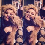 Nicholle Tom Instagram - ‘Mommy your hairs look just like mine!’ ‘I know Chesty! That’s cause you’re my son!’ #day36 #365daysofchesty #poodle @nicholletom