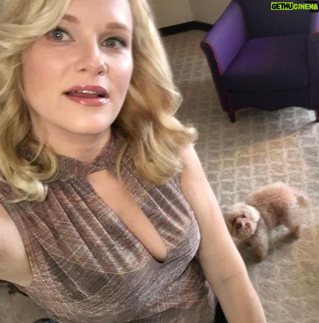 Nicholle Tom - 1.8K Likes - I was like… OMG… who is this girl?! With her beautiful dog? That’s you Nicholle! Are you kidding me? #prepandemic #throwbackthursday #wishistillhadthatdress @chestychew