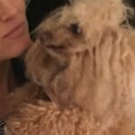 Nicholle Tom Instagram - ‘You smell that Mommy?’ ‘Wait let me check… I do Chesty, yes, I do’ #random #day17 #365daysofchesty #SmellingsAGoodThing #Sense #HappyMLKDay #poodle #poodlesofinstagram