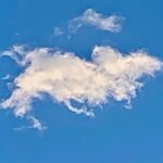 Nicholle Tom Instagram - I’ve been meaning to post this for awhile now but personally it’s just so personal to me that it’s been really hard to talk about and I wanted to tell Chesty’s nearest and dearest first. That said… Last November my baby boy Chesty Chew bounced gracefully across the rainbow bridge. It was one of the saddest yet magical days of my life. Horribly painful because I knew how much I’d miss his unconditional love, support and companionship. I brought him everywhere with me! He was a part of me. My soul baby. But I realized the day he passed that he’ll still always be with me. Just in a different way. When my friend Emily came over with her fiancé Robyn to send Chesty off properly. Emily and I were outside on my back patio when suddenly, the sky went dark. For a moment it was night and then it got so bright we had to look up to see what was happening with the sun! When we looked up, we saw this cloud blocking the sun. Now I know this might sound strange, but I swear it was Chesty! Floating as a cloud above us. Then the cloud literally transformed in front of us. First, it was his whole body and then his face turned towards us. I was like, “Jesus, Emily that cloud looks just like Chesty!” She laughed and immediately agreed! We kept watching it and the cloud then transformed into a million different Chestys. One with just his face and a heart off to the right of his head… One where he was jumping with his tongue hanging out… (See my pictures above. Can you spot Chesty?:) Then the craziest thing of all happened! … (see my first comment below to find out what:)