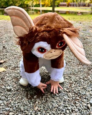 Nick Groff Instagram - Just don’t put water on him after midnight! Our little gremlin! @tessagroff_ #gremlin #halloween #lucianogroff