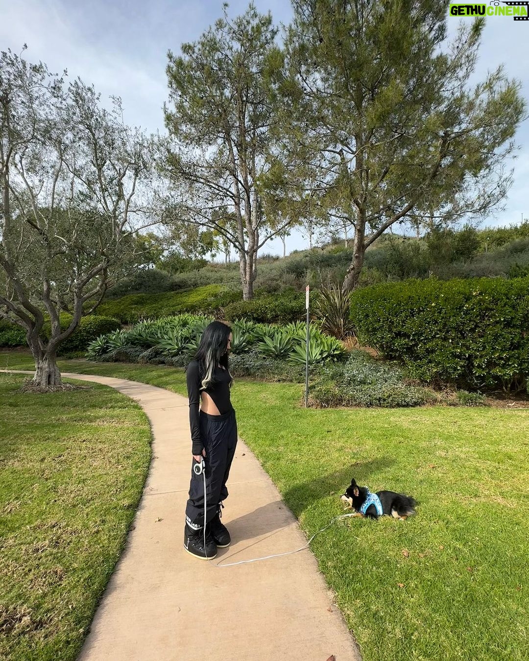 Nicki Nicole Instagram - 🔪🔪🔪🔪🔪🔪 Los Angeles, California