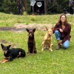 Nicole da Silva Instagram – One of the good girls π€ @sircharlesandhiskelpies