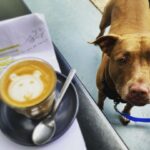 Nicole da Silva Instagram - (Coffee) Art Imitates Life.