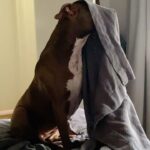 Nicole da Silva Instagram - One of those days. Sound On.