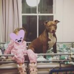 Nicole da Silva Instagram - Princess & her Pooch #DoubleTrouble