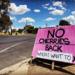 Nicole da Silva Instagram - 2022 Vibes. Happy New Year Y’All 🍒 Wiradjuri Country