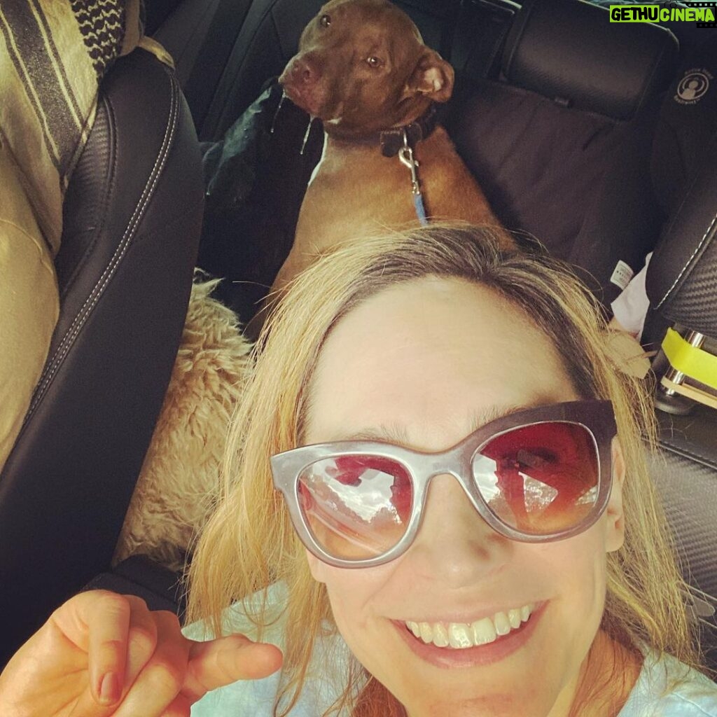 Nicole da Silva Instagram - One of us hates a summer roadtrip. Don’t be fooled by the drool, we love our #Passat @altovolkswagennorthshore • Happy Holidays to you and yours 🐶 😎 x