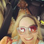 Nicole da Silva Instagram - One of us hates a summer roadtrip. Don’t be fooled by the drool, we love our #Passat @altovolkswagennorthshore • Happy Holidays to you and yours 🐶 😎 x