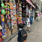 Nikita Sharma Instagram - Life lately 🩶 Bangalore, India