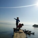 Nilgün Türksever Instagram - Lake ducks. Avrupa Leylek Köyü