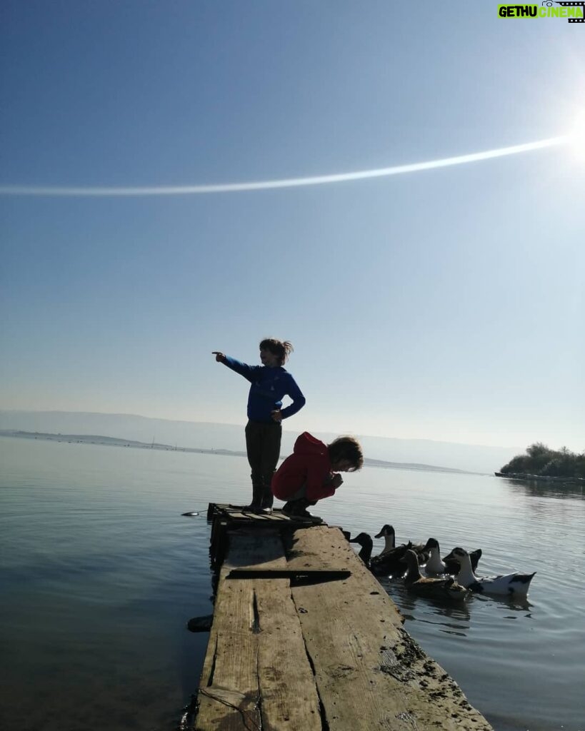 Nilgün Türksever Instagram - Lake ducks. Avrupa Leylek Köyü