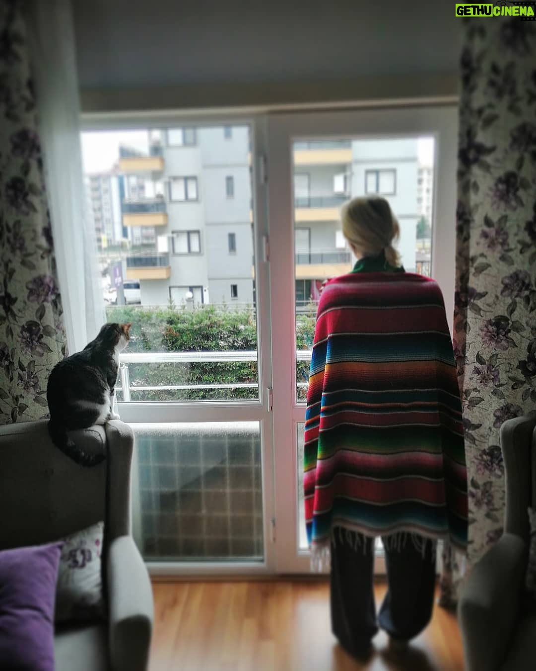 Nilgün Türksever Instagram - Bazı yollar akılla alınmıyor. 💫 @tgrltlk