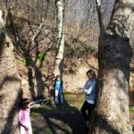 Nilgün Türksever Instagram - Ebeveyn ağaçların çocuklarıyla birlikte yaşadığını biliyor musunuz? Yavrularıyla iletişim kurduklarını büyümelerine destek olduklarını. Hıh AĞAÇ işte!!! #hiyerofani #hierofania #kutsalıntezahürü #ağaçlarıngizliyaşamı #sırlarladolubirdünya #tbt