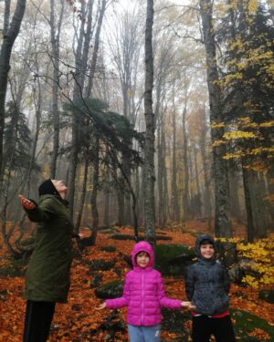 Nilgün Türksever Instagram - Ne demiş Cemal Süreyya "Sonbahar sanattır, diğerleri mevsim".
📷 :@altuggorgu