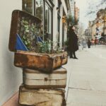 Nima Akbarpour Instagram - کوچ بنفشه‌ها 🌸 در روزهای آخر اسفند در نیم‌روز روشن، وقتی بنفشه‌ها را با برگ و ریشه و پیوند و خاک در جعبه‌های کوچک چوبین جای می‌دهند جوی هزار زمزمه درد و انتظار در سینه می‌خروشد و بر گونه‌ها روان. ای کاش آدمی، وطنش را هم‌چون بنفشه‌ها می‌شد با خود ببرد هر کجا که خواست! London, United Kingdom