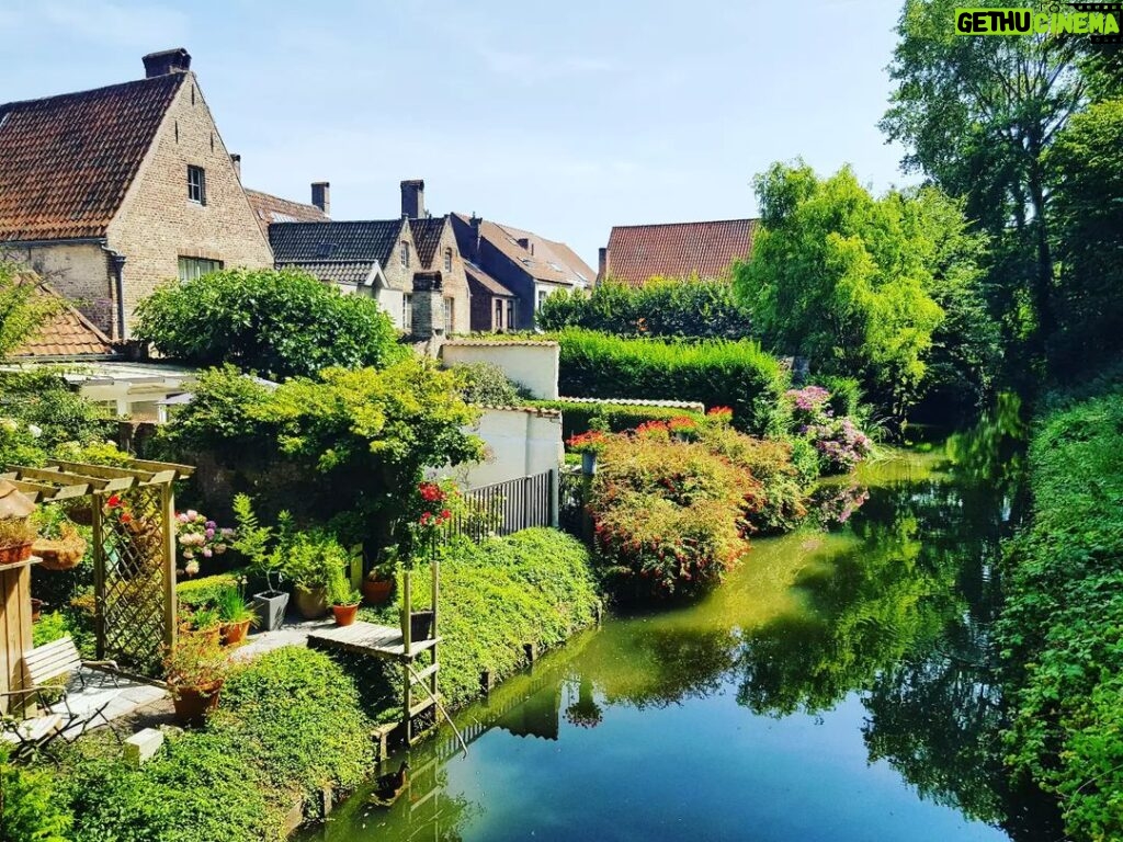 Nima Akbarpour Instagram - حیاط پشتی خونه‌هایی که به کانال آب باز می‌شن #بروژ #منظره #چشم‌انداز #backyards #canal #Bruges Brugge, Belgium