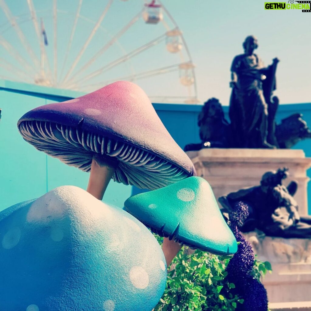 Nima Akbarpour Instagram - 🍄 Magic Mushroom! Is that you? Somerset House