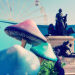 Nima Akbarpour Instagram – 🍄 Magic Mushroom! Is that you? Somerset House
