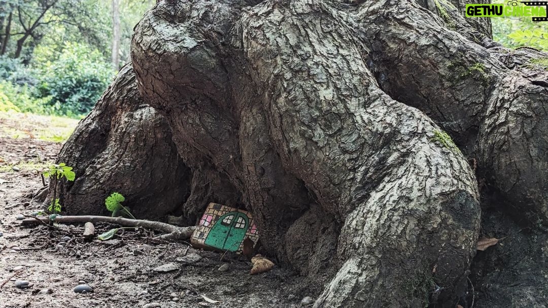 Nima Akbarpour Instagram - Knock, Knock, Knock! Abbeywood Park / Ruins