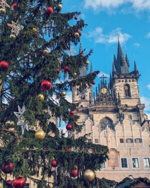 Nima Akbarpour Instagram - #Christmas #tree #Prague #OldTown