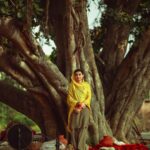 Nimrat Khaira Instagram - ਮੈਂ ਦਰਦ ਬਣਾ ਕੇ ਘੁੱਗੀਆਂ-ਚਿੜੀਆਂ ਵਾਹ ਦਿੱਤੇ ਮੈਂ ਕਿਸਮਤ ਦੀ ਛਾਤੀ 'ਤੇ ਚਰਖੇ ਡਾਹ ਦਿੱਤੇ.. @ravankhosa @pippal_patiyaan