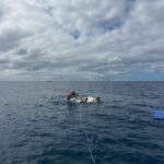 Noah Beck Instagram - someone titanic me
