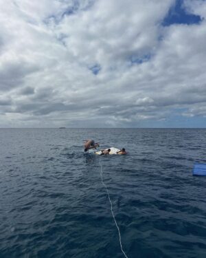 Noah Beck Instagram - someone titanic me