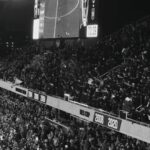 Noah Beck Instagram - cbus brought the atmosphere Columbus, Ohio