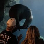Noah Beck Instagram – “what do u live under a ROCK???”