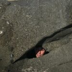 Noah Beck Instagram – “what do u live under a ROCK???”