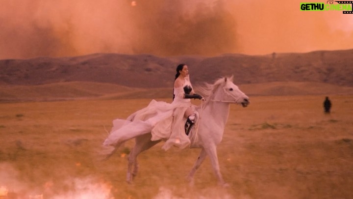 Noah Cyrus Instagram - thank you so much to every single person that helped create the I Burned LA Down music video. it was a very big idea that took a very big team and i’m so grateful for all of you working so hard to help make such a beautiful piece of art.. AND filming with my favorite girl (horse) Moonstone is always so peaceful and fun for me and is the most comfortable i could ever feel on camera. (it’s usually kinda uncomfortable for me) my grandfather always said “the outside of a horse is good for the inside of a man” and my God is that true. i’ve never felt less anxious and more connection to myself than when i’m on a horse. (and i miss showing off my equitation) truly every thing about this video is extremely special to me and so is every single person and ANIMAL thats a part of it ❤️🔥❤️🔥❤️🔥🐴🐴🐴 love u all thank u so much Creative Direction - Actual Objects @actualobjects Creative Director - Rick Farin @rickfarin Creative Director - Claire Farin @clairefarin Creative Producer - Nick Vernet @nickvernet Creative Producer - Isabel Levin @isabellevin Executive Producer - Emily Hillgren @hillgs Producer - Sofie Warshafsky @sofiewar Offsite Producer - Ava Doorley @avadoorley 1st AD- Mark Kaercher @mark_kaercher DP - Franklin Ricart Jr. @franklinspov 1st AC - Eric Gauntt @eric_gauntt 2nd AC - Norman Wicaksono Gaffer - Jorge Hernandez @jahernandez1976 Key Grip - Mike Long @mikelong.dp BBE - Arjay Ancheta @jay_cine Swing - Sam Kim BBG - Devin Conner BTS - Amaury Nessaibia @amaurynessaibia Stylist - Maleeka Moss @maleeka.moss Styling Asst. - Juliana Bassi @jbasssi Styling Asst. - Lauren Wathey @laurenwathey Hair - Lauren Rugetti @laurarugetti Hair Asst. - Sienna Watson Makeup - David Velasquez @mugopus Nails - Britney Tokyo @britneytokyo Tailor - David Viato @viatodavid Truck PA - Felipe Rodriguez @thischarmingfooo PA - B Armstrong PA - Ben Weinswig @its____romeo Production Support - Zoe Pennebaker @artistandmother Moonstone - @horsesforproduction Witness - Jared Wortham Witness- Tali Maranges @luvagorl Witness - Swann Wav @swann.wav Witness- Natalie Fratto @nataliefratto Witness - Garrett Gloom VFX Supervisor - Max Colt @maxcoltt VFX - FRENDER @the_frender