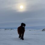 Noah Cyrus Instagram - land of fire and ice
