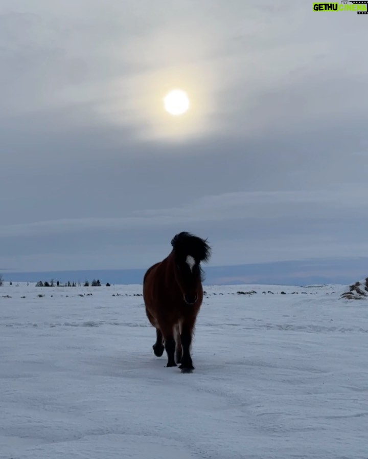 Noah Cyrus Instagram - land of fire and ice