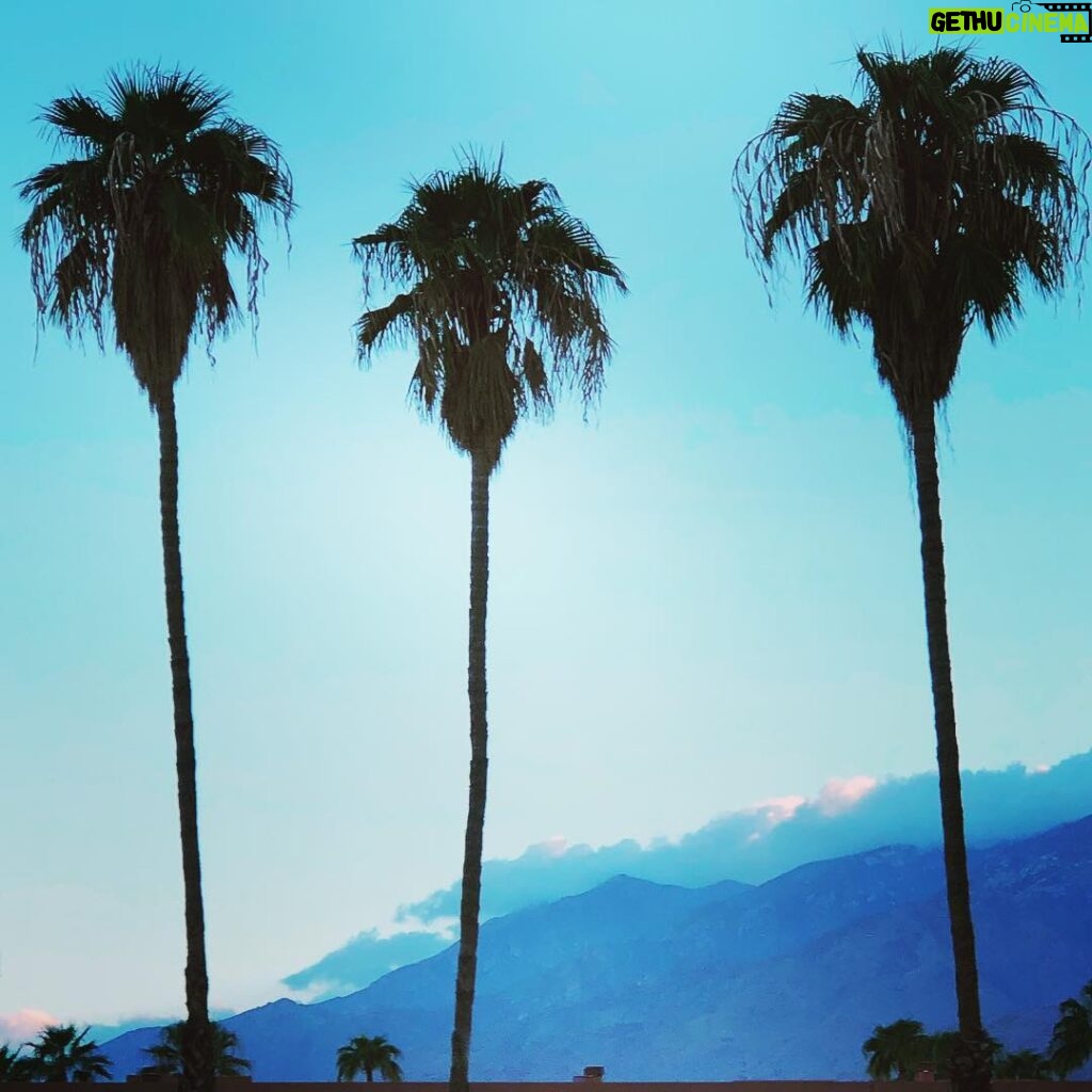 Nobi Nakanishi Instagram - First time in Palm Springs. Any recommendations? Palm Springs, California