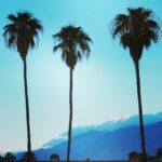 Nobi Nakanishi Instagram – First time in Palm Springs. Any recommendations? Palm Springs, California