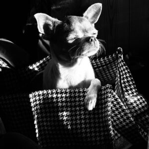 Nona Sobo Instagram - Nunca me había amado tanto como lo hago ahora. Que, aunque me cuestiono, me elijo; aunque me reprocho, me entiendo; aunque me juzgo, me perdono. Y, sobre todo, me acepto. Voy construyendo de a poco, sin presión y en paz, mi versión más honesta.